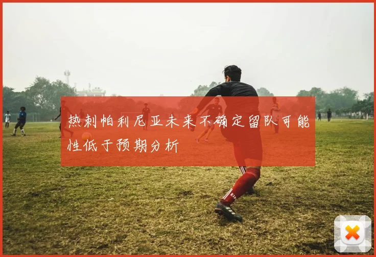 热刺帕利尼亚未来不确定留队可能性低于预期分析