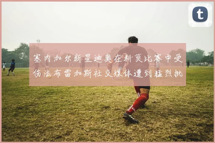 塞内加尔新星迪奥在科莫比赛中受伤法布雷加斯社交媒体遭到猛烈批评