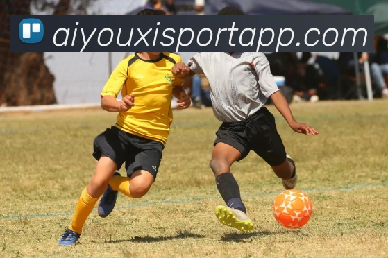 多媒体互动体验